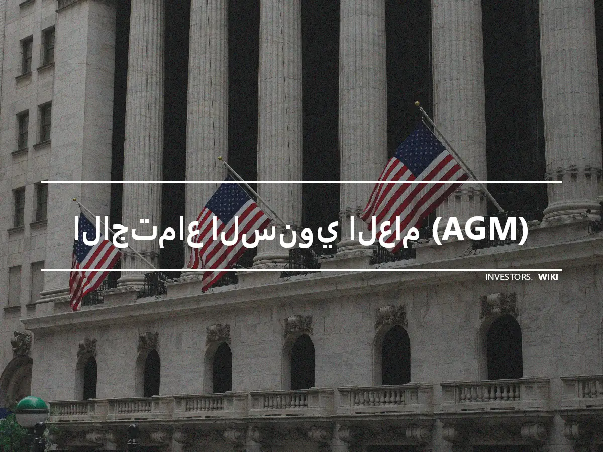 الاجتماع السنوي العام (AGM)