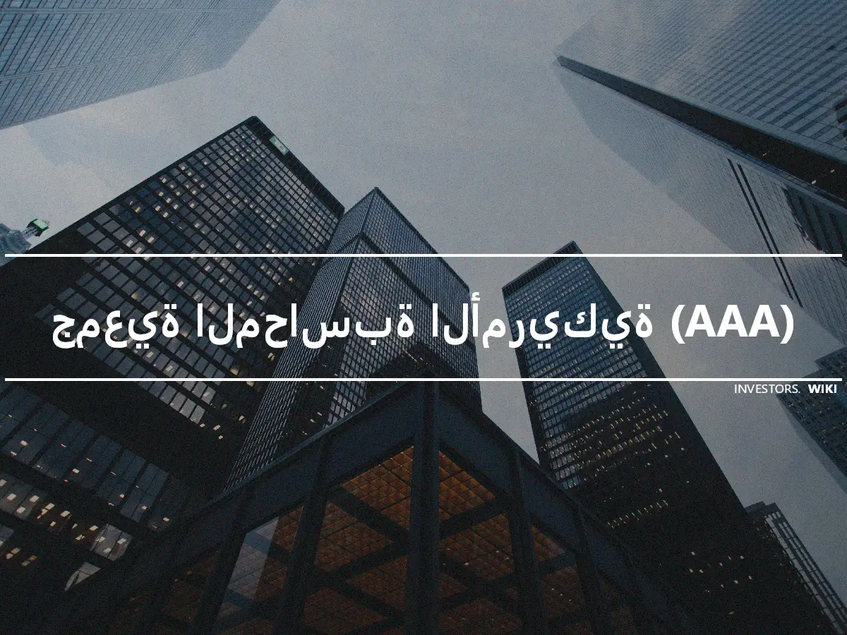 جمعية المحاسبة الأمريكية (AAA)