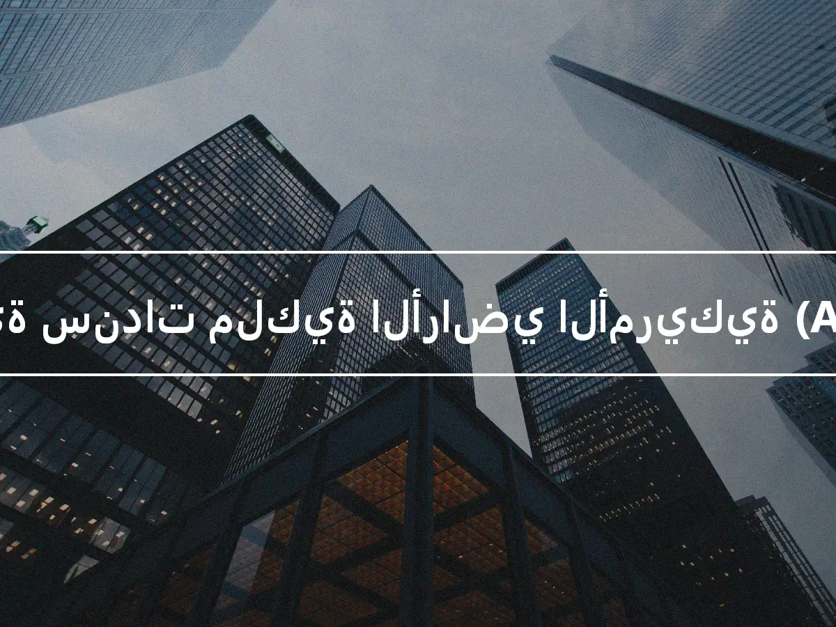 جمعية سندات ملكية الأراضي الأمريكية (ALTA)