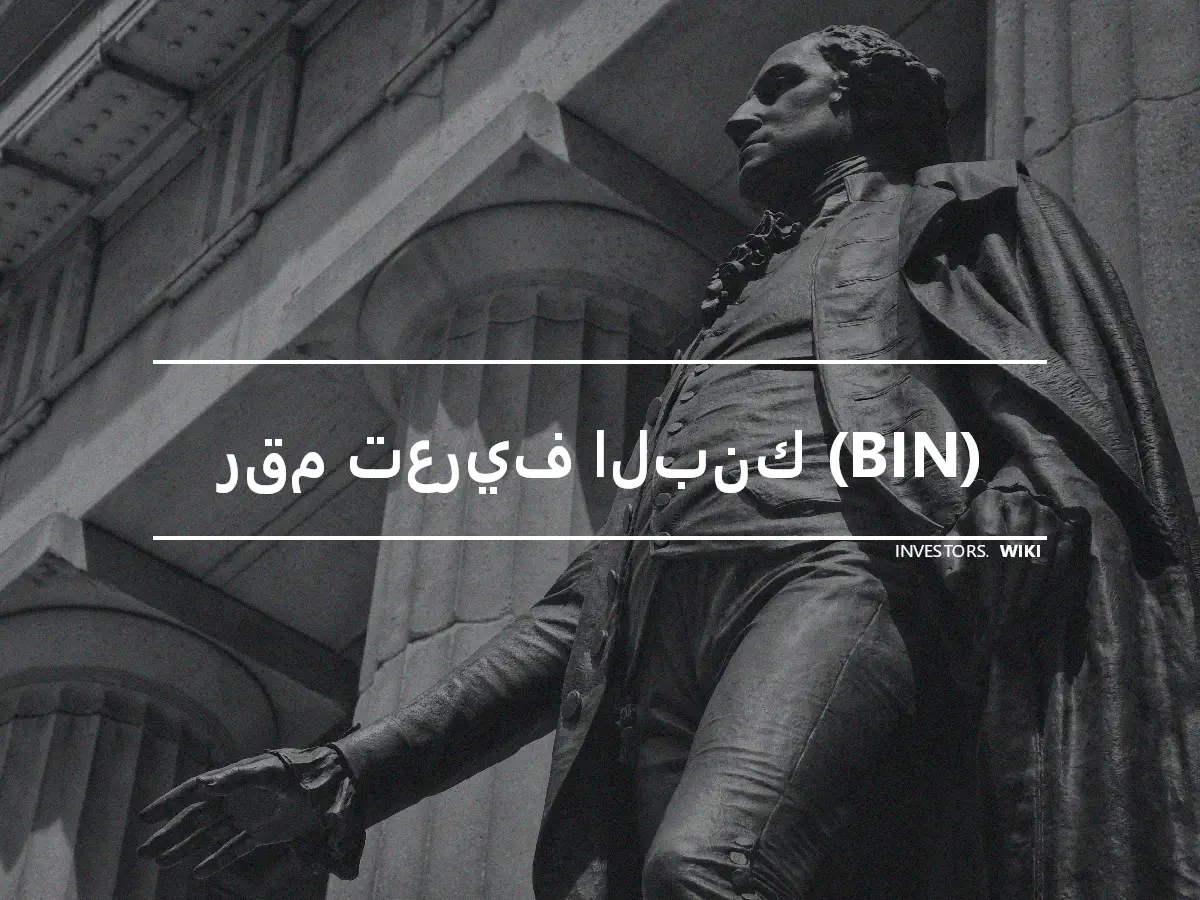 رقم تعريف البنك (BIN)