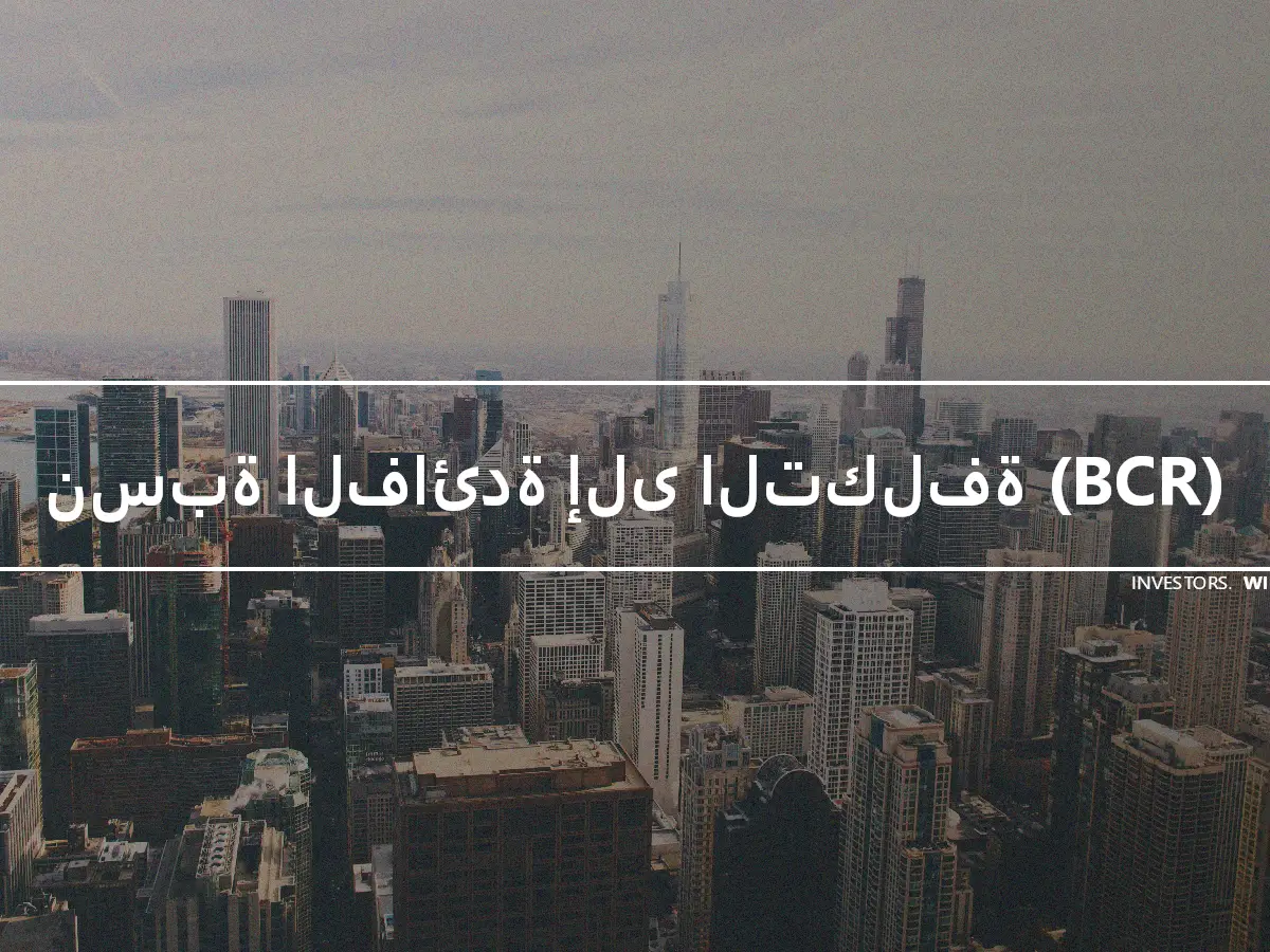 نسبة الفائدة إلى التكلفة (BCR)