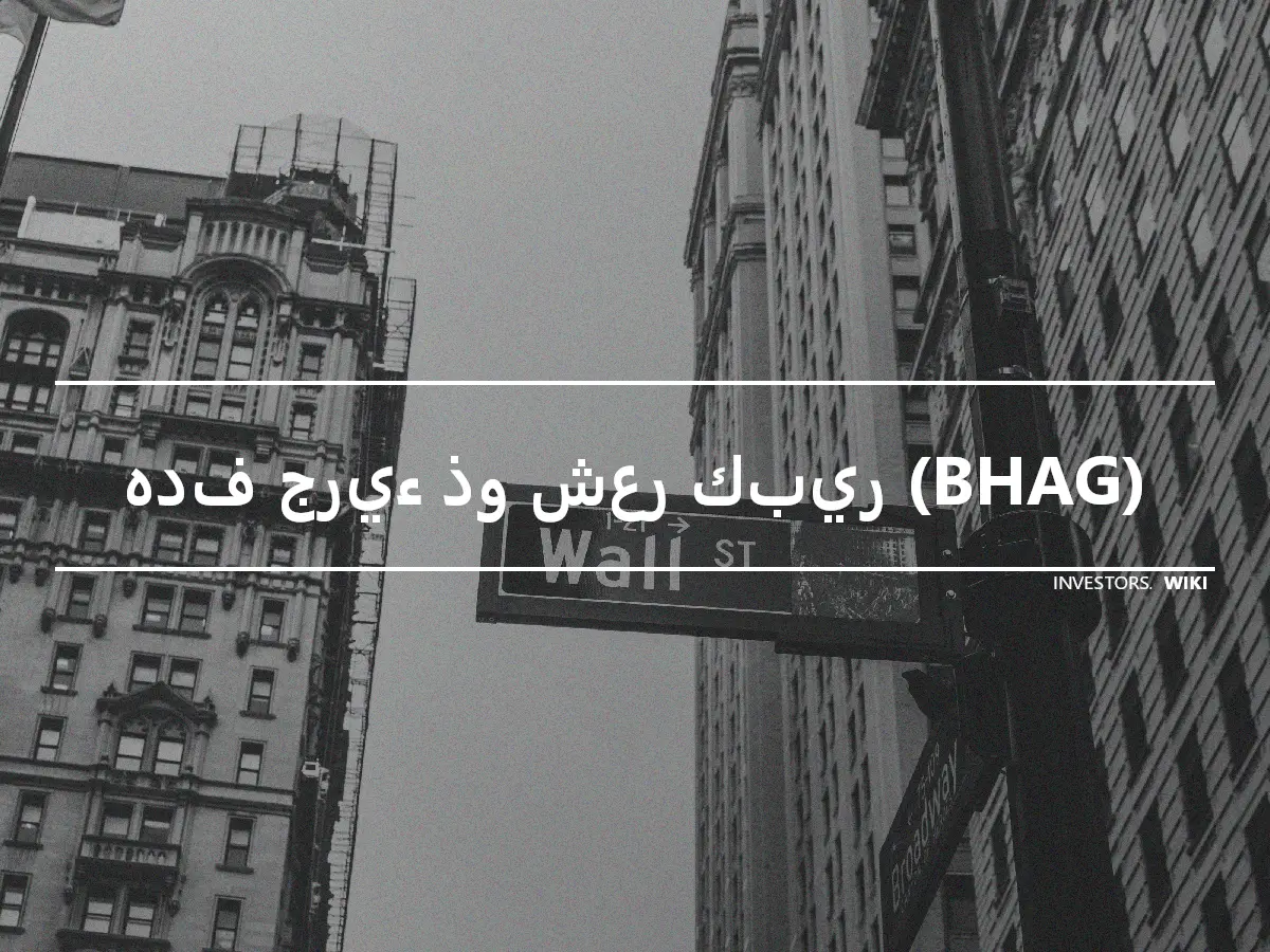 هدف جريء ذو شعر كبير (BHAG)