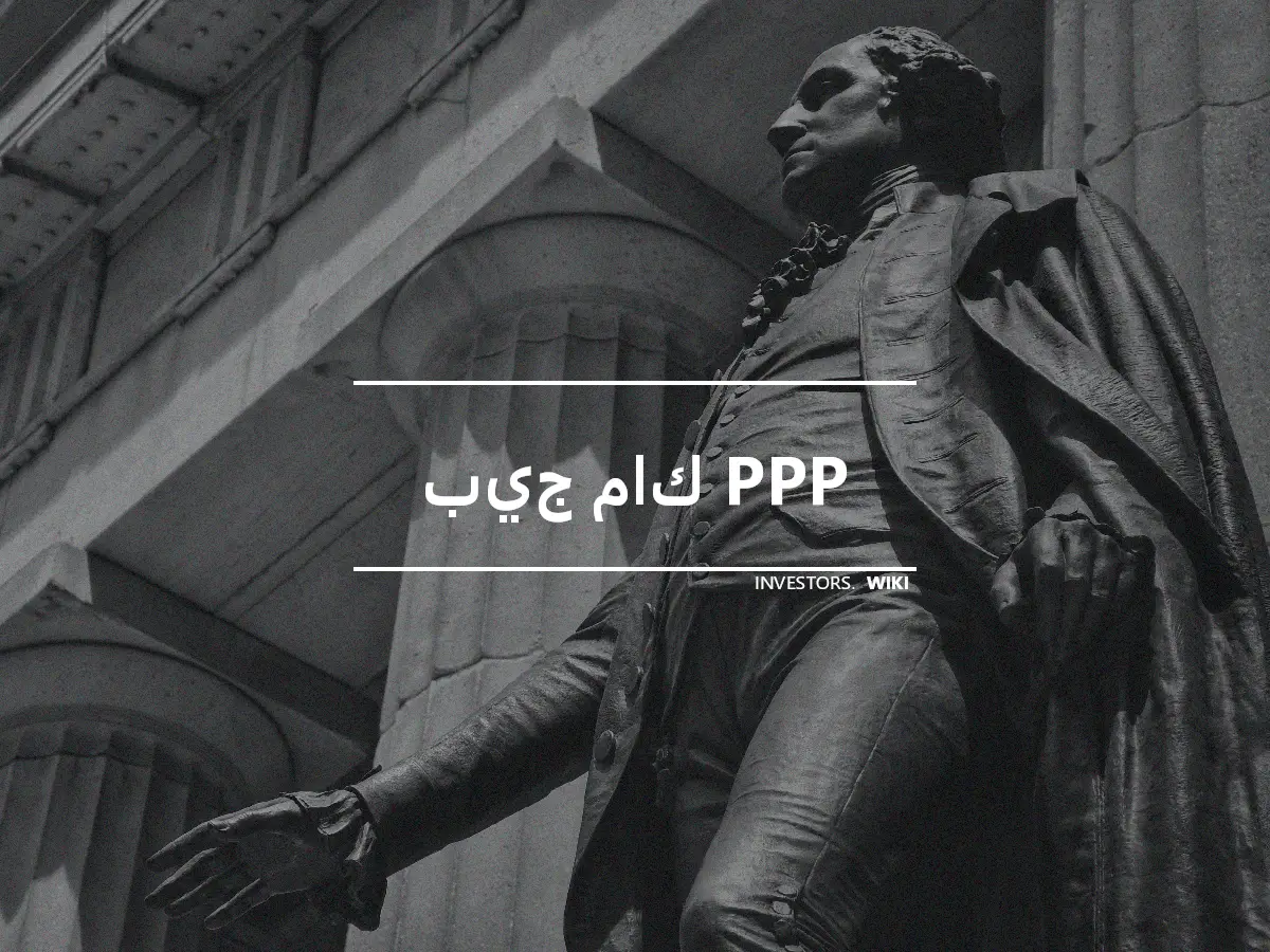 بيج ماك PPP