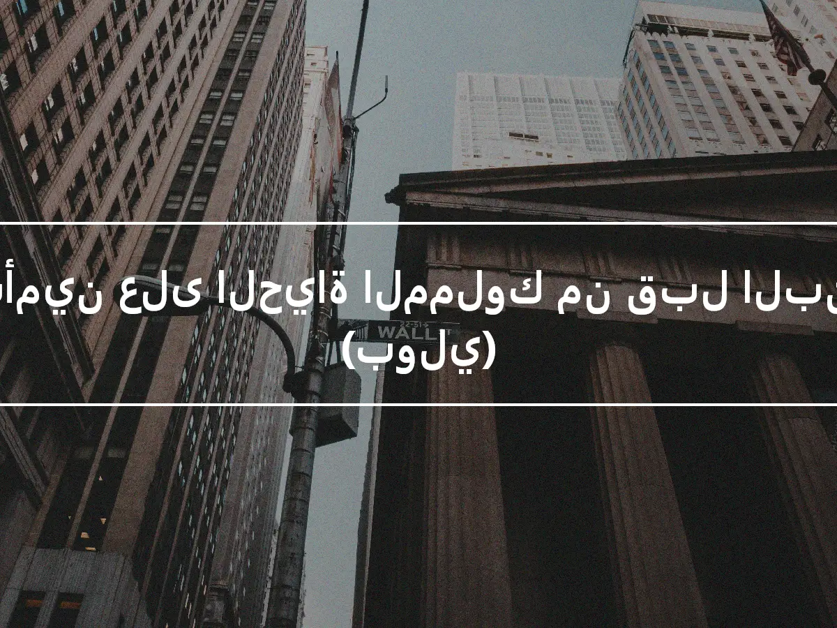 التأمين على الحياة المملوك من قبل البنوك (بولي)