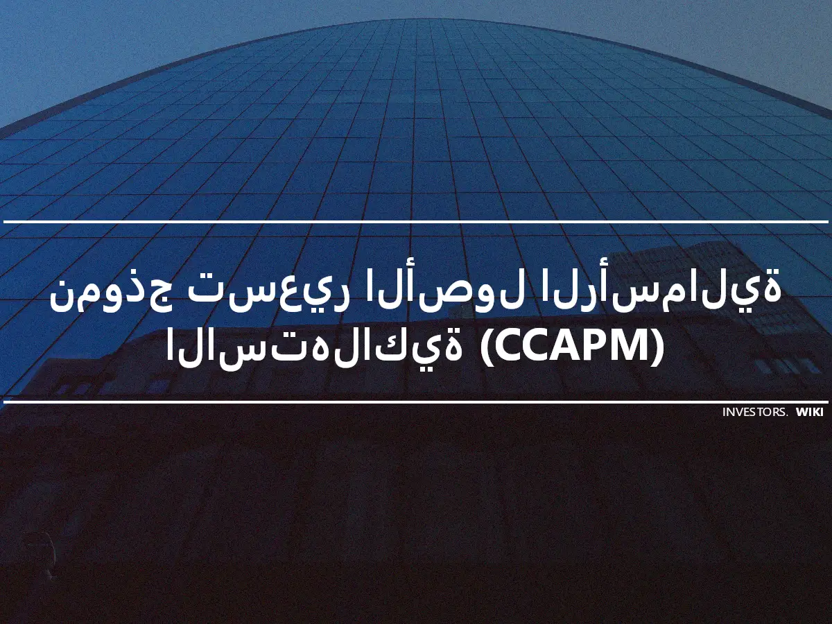 نموذج تسعير الأصول الرأسمالية الاستهلاكية (CCAPM)