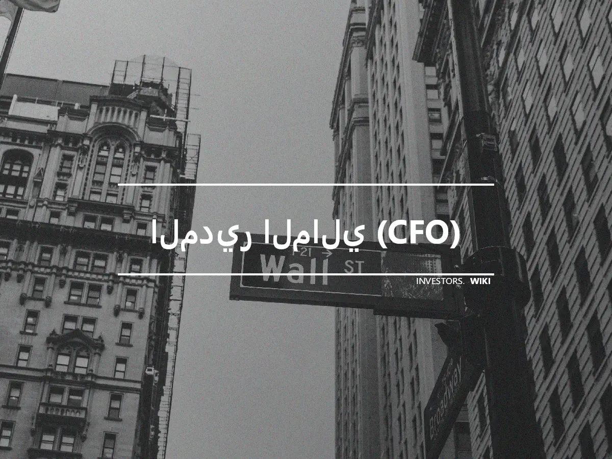 المدير المالي (CFO)