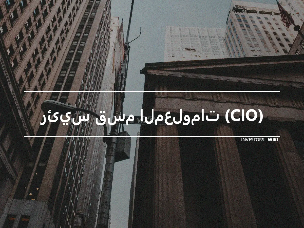 رئيس قسم المعلومات (CIO)