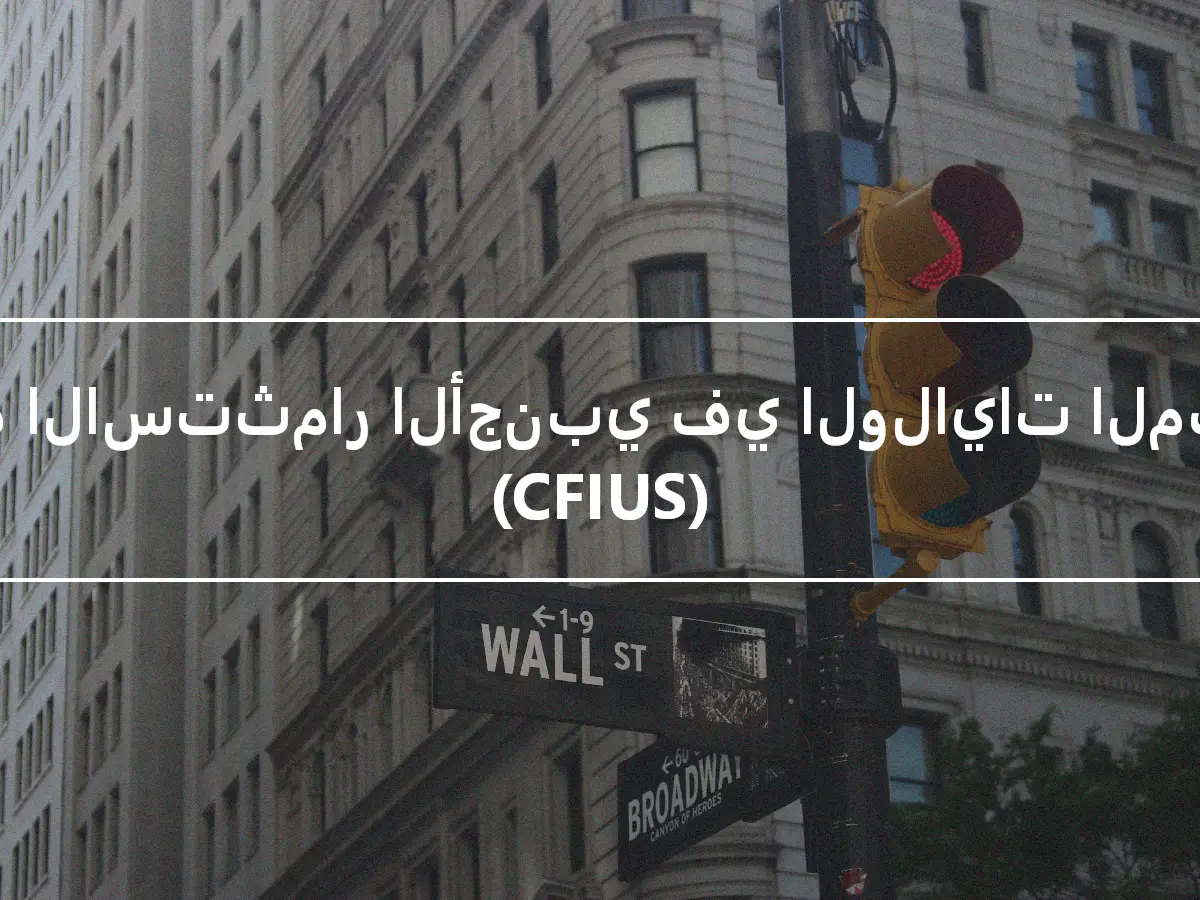 لجنة الاستثمار الأجنبي في الولايات المتحدة (CFIUS)