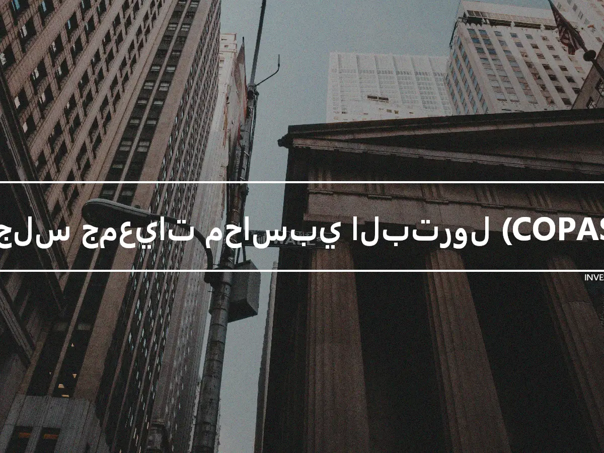 مجلس جمعيات محاسبي البترول (COPAS)