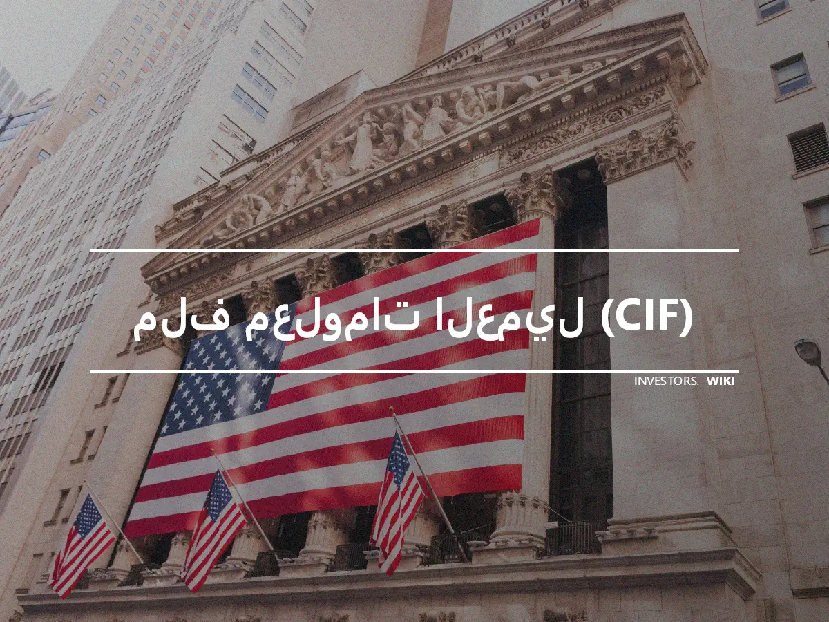 ملف معلومات العميل (CIF)