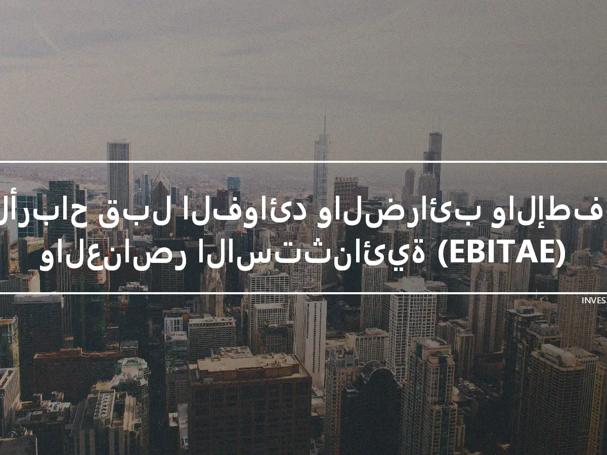 الأرباح قبل الفوائد والضرائب والإطفاء والعناصر الاستثنائية (EBITAE)