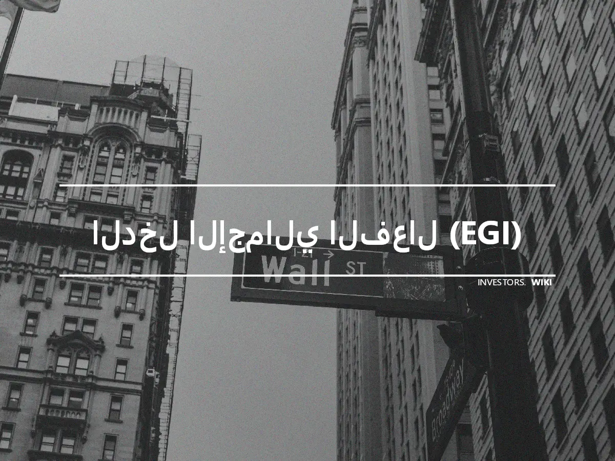 الدخل الإجمالي الفعال (EGI)