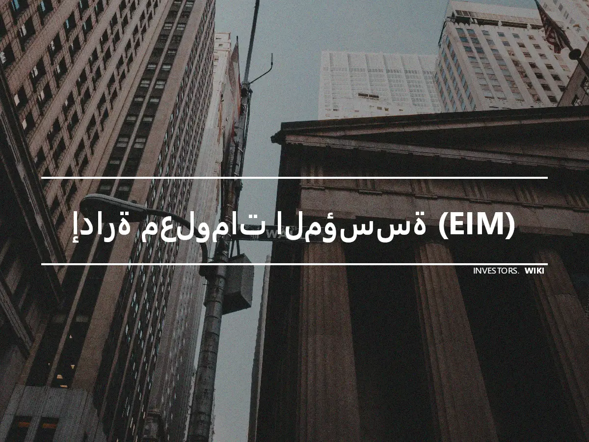 إدارة معلومات المؤسسة (EIM)