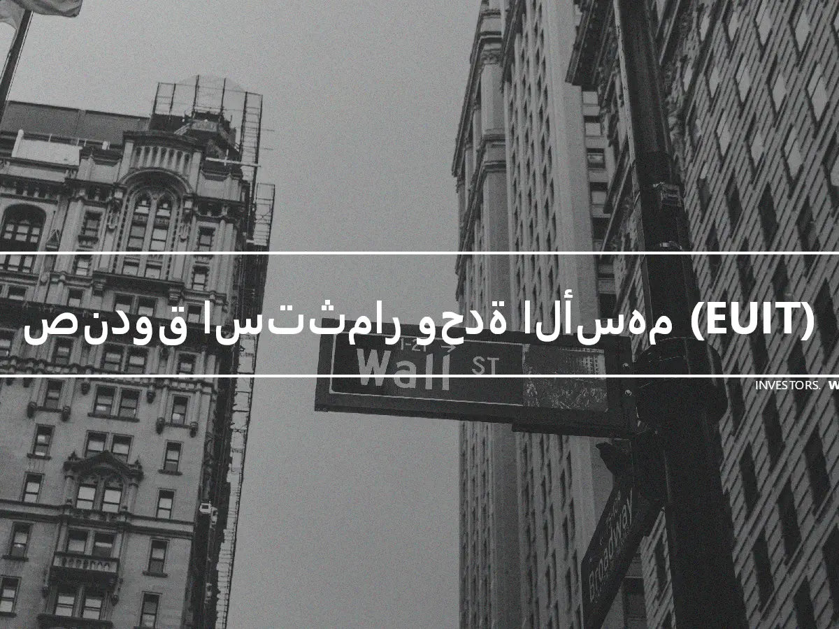 صندوق استثمار وحدة الأسهم (EUIT)