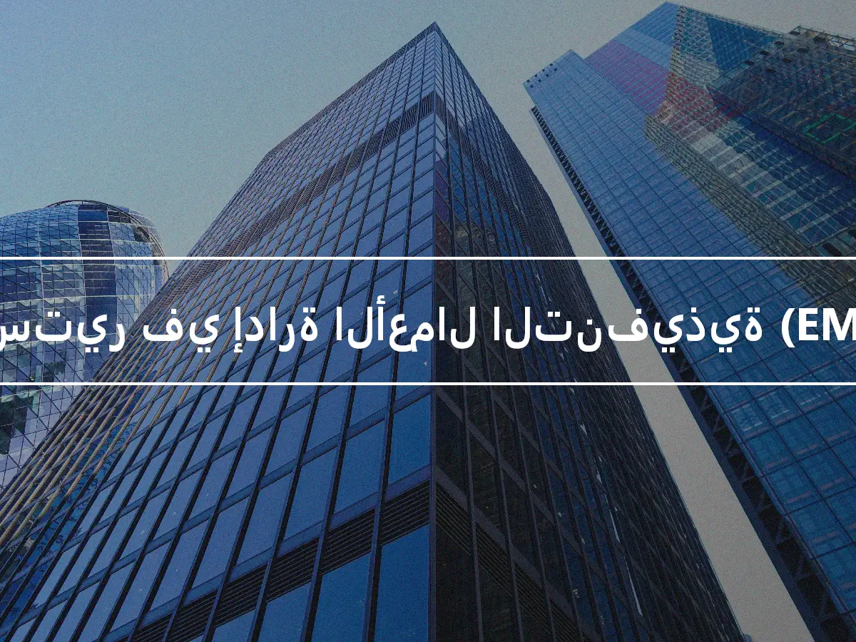 ماجستير في إدارة الأعمال التنفيذية (EMBA)