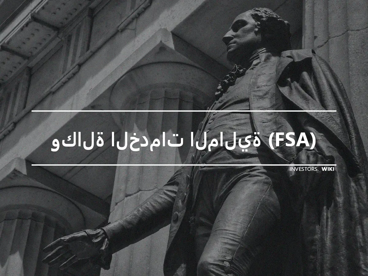 وكالة الخدمات المالية (FSA)