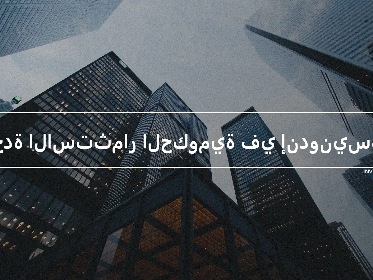 وحدة الاستثمار الحكومية في إندونيسيا