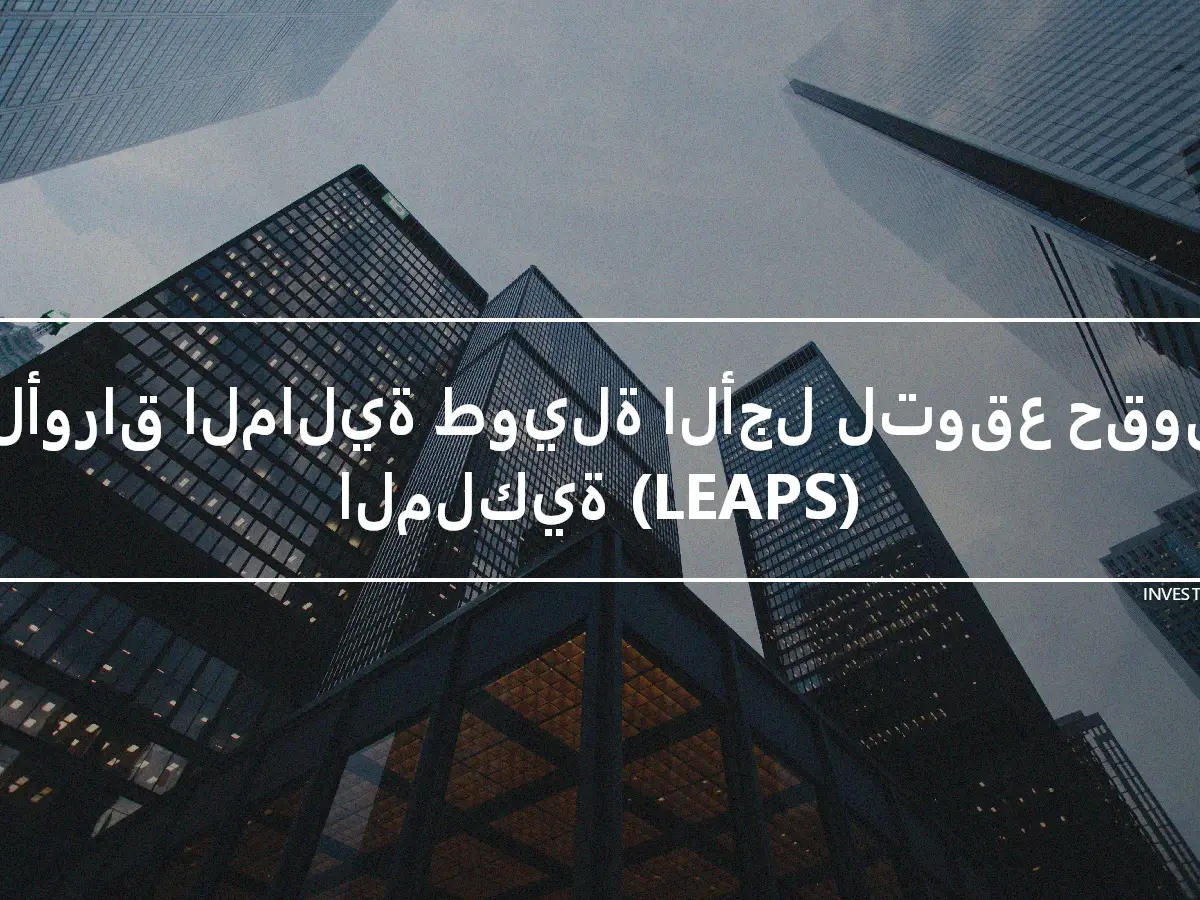 الأوراق المالية طويلة الأجل لتوقع حقوق الملكية (LEAPS)