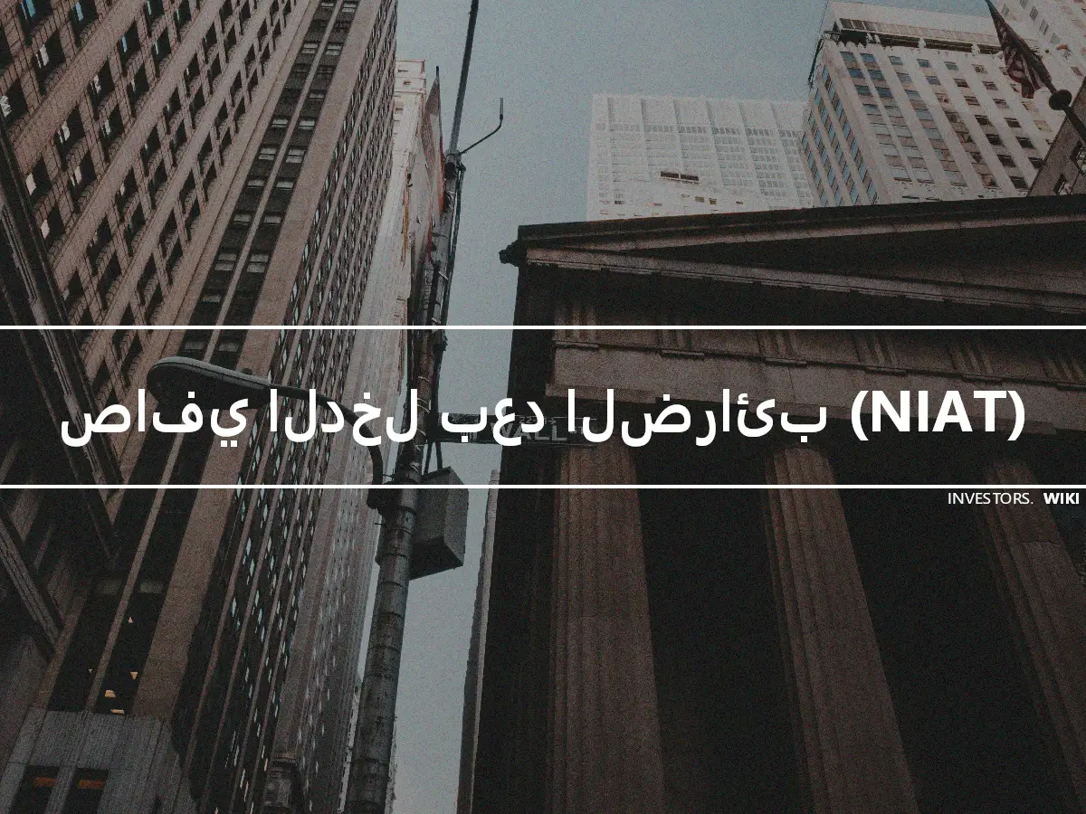 صافي الدخل بعد الضرائب (NIAT)