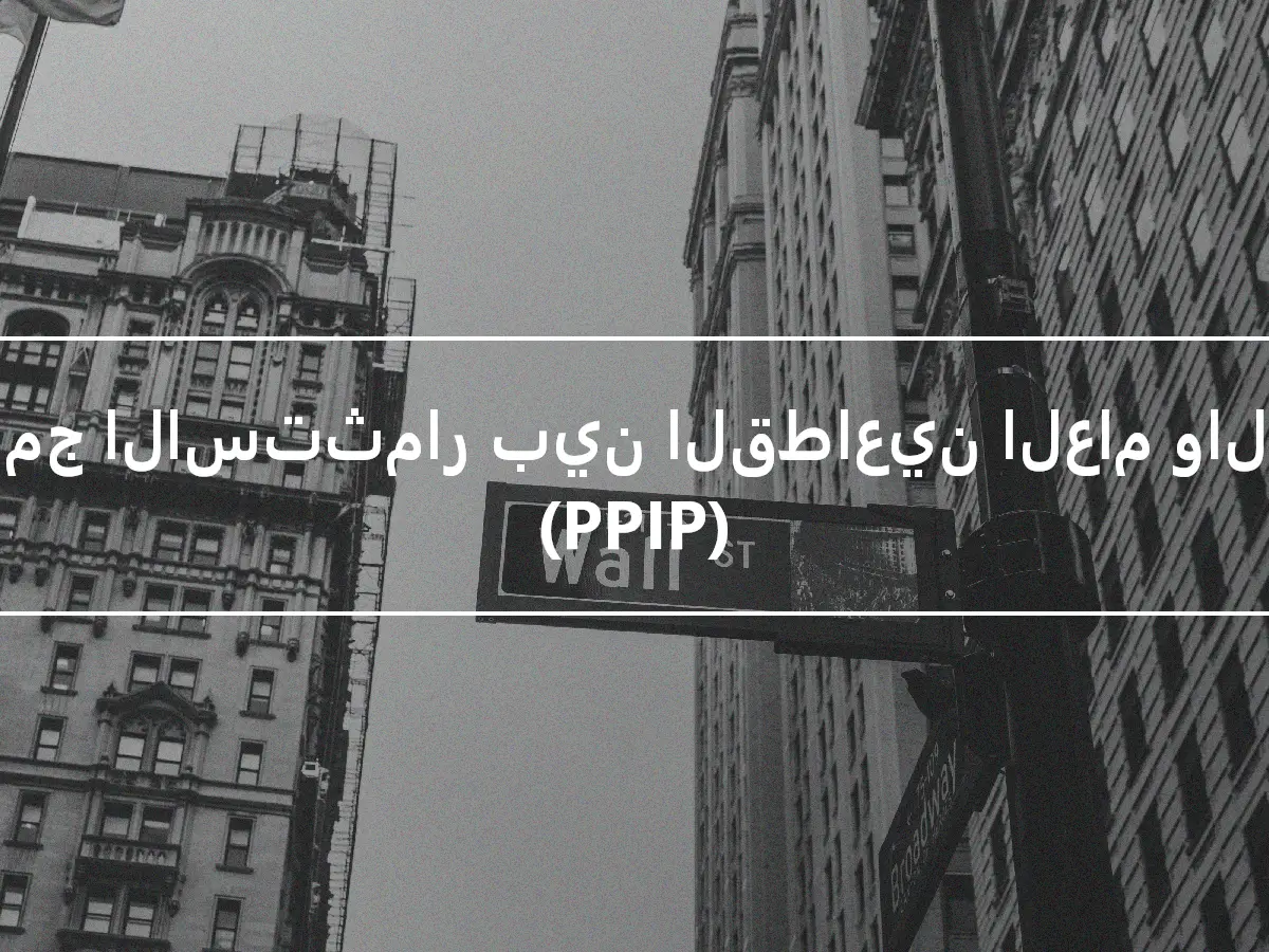 برنامج الاستثمار بين القطاعين العام والخاص (PPIP)