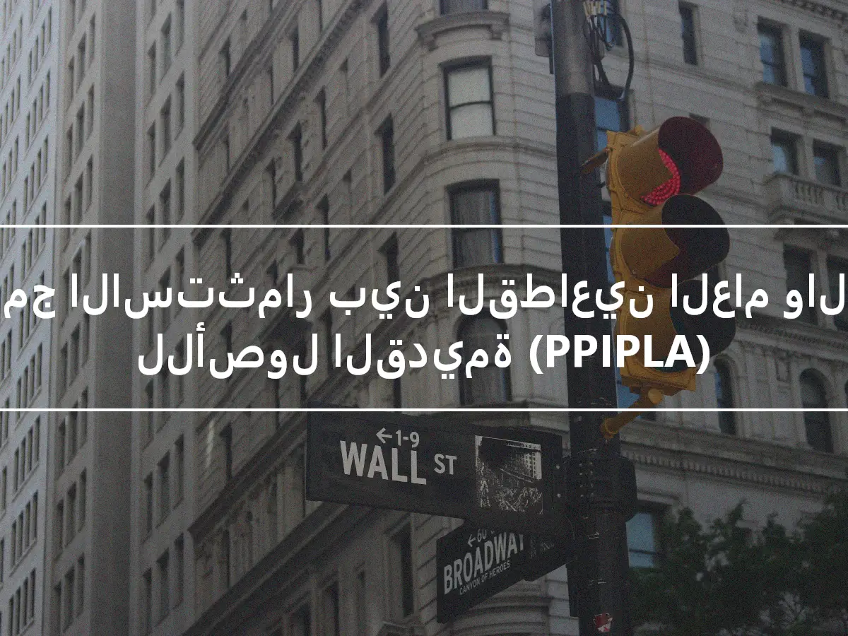 برنامج الاستثمار بين القطاعين العام والخاص للأصول القديمة (PPIPLA)