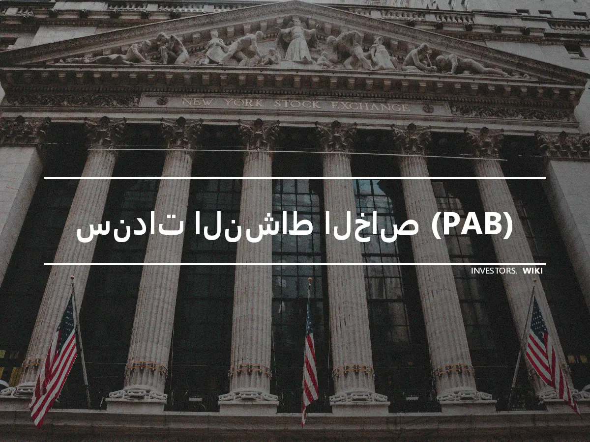 سندات النشاط الخاص (PAB)
