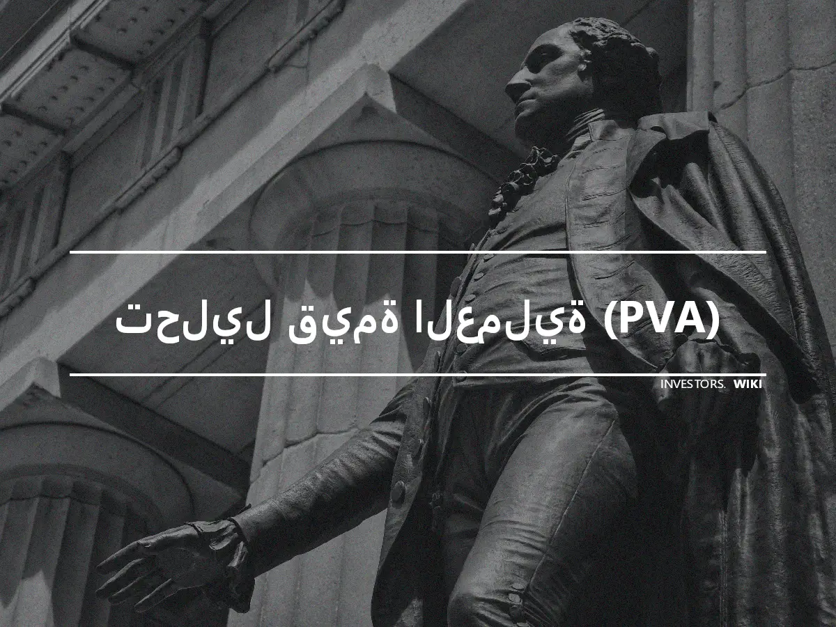 تحليل قيمة العملية (PVA)