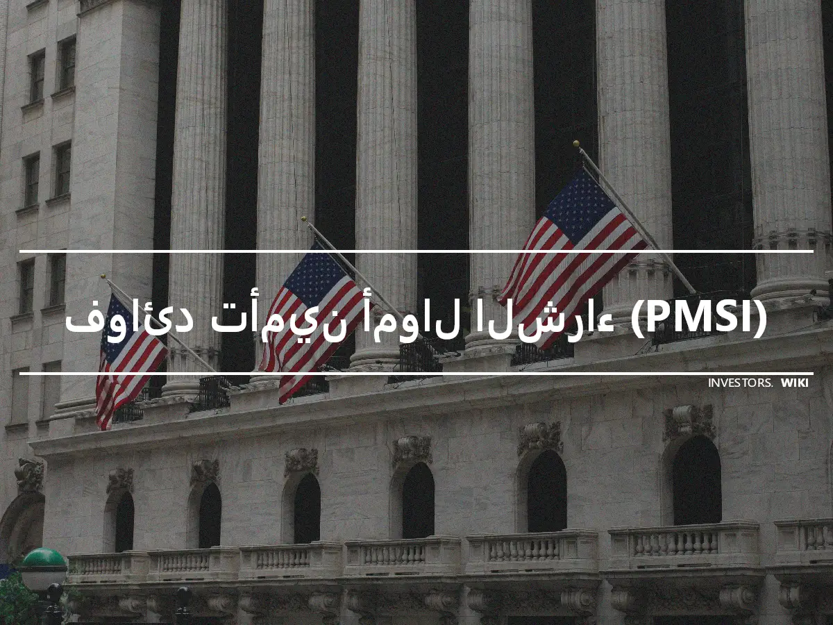 فوائد تأمين أموال الشراء (PMSI)