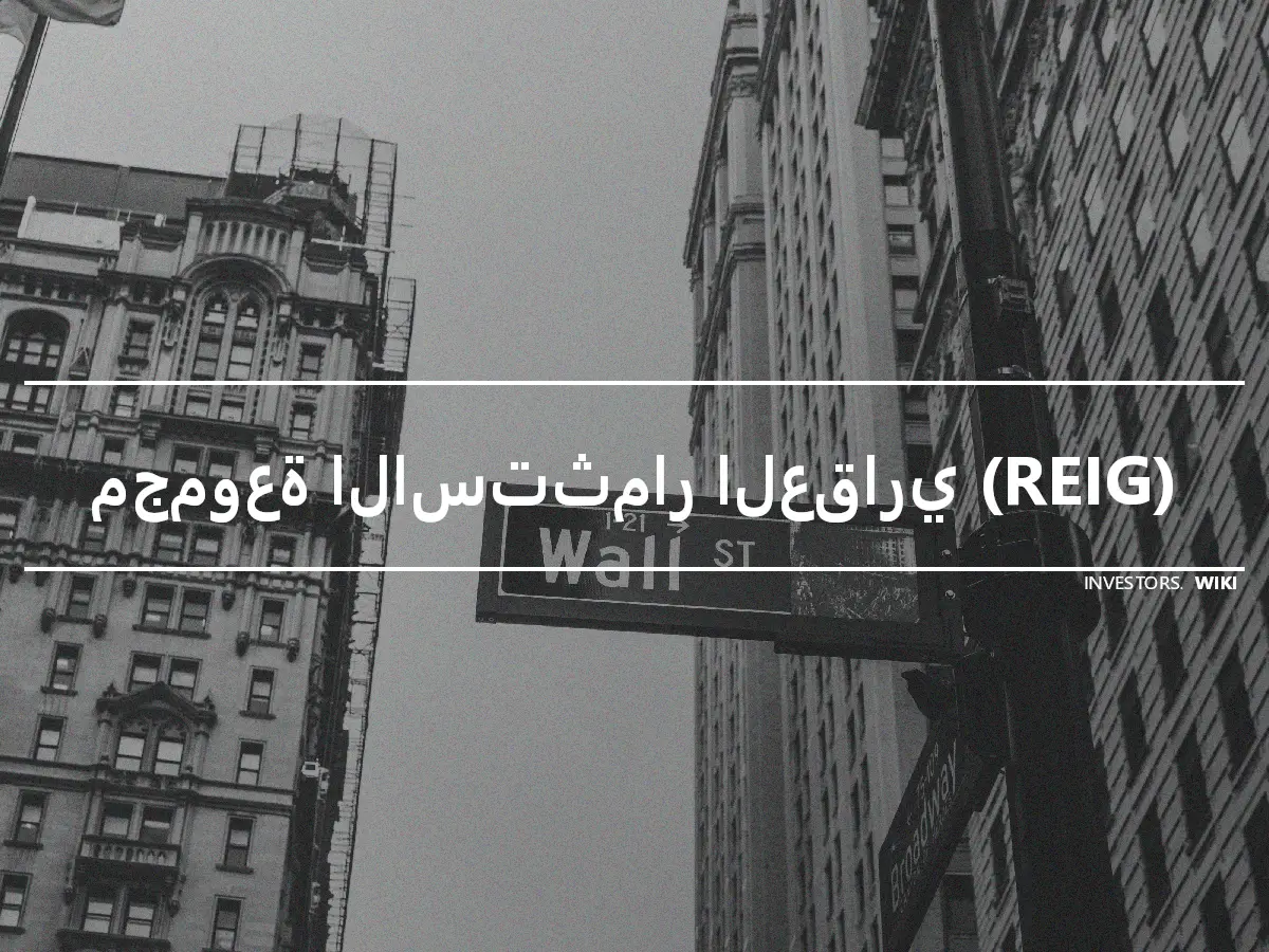 مجموعة الاستثمار العقاري (REIG)