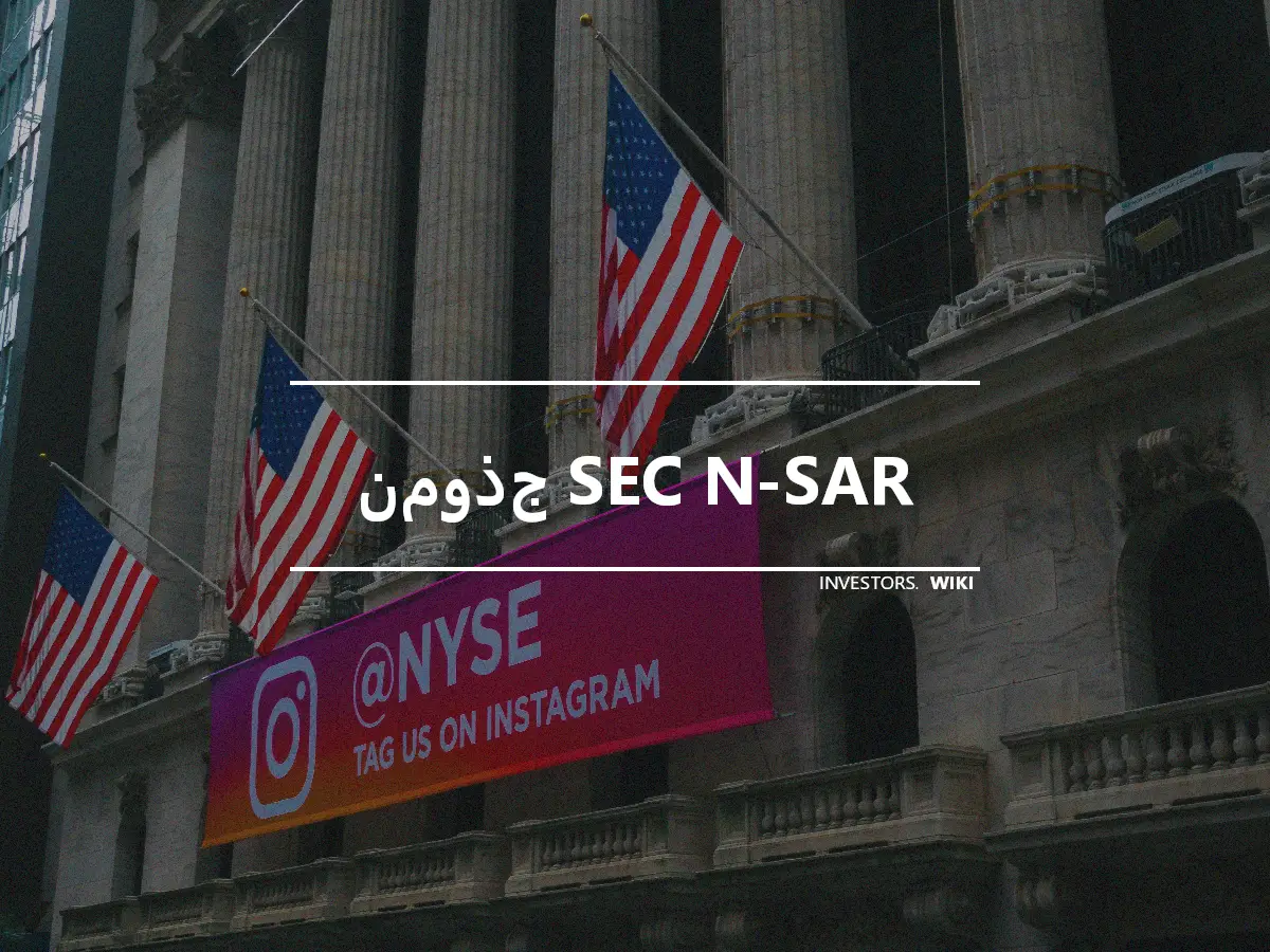 نموذج SEC N-SAR