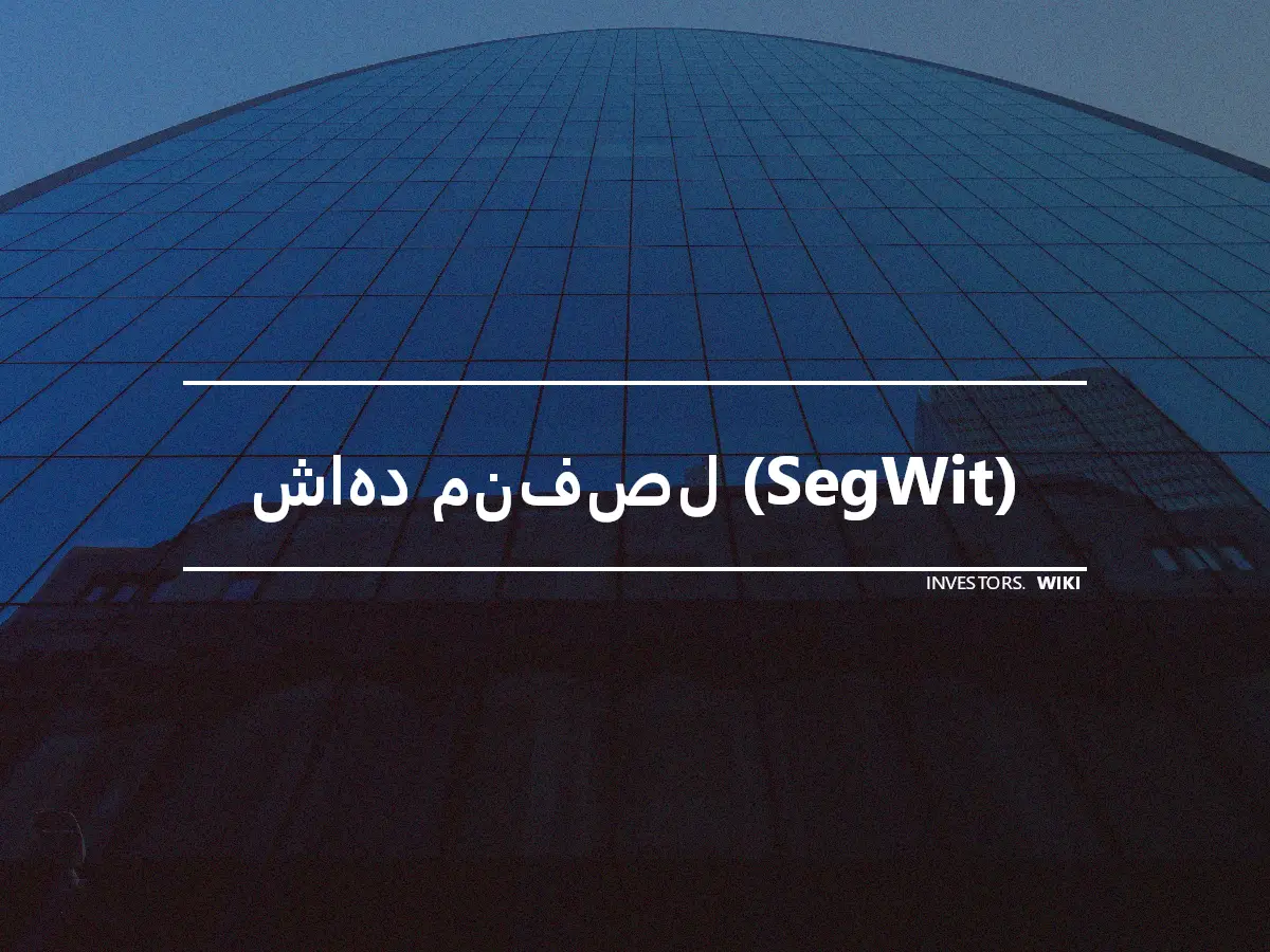 شاهد منفصل (SegWit)