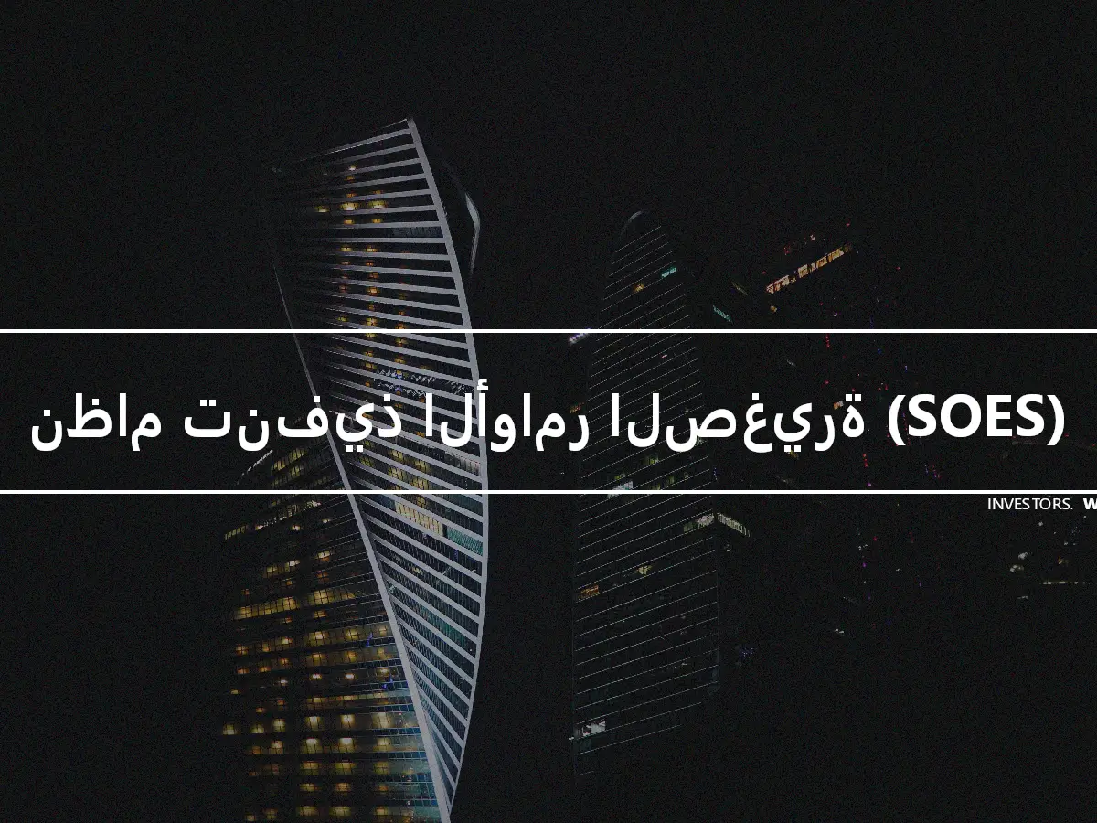 نظام تنفيذ الأوامر الصغيرة (SOES)