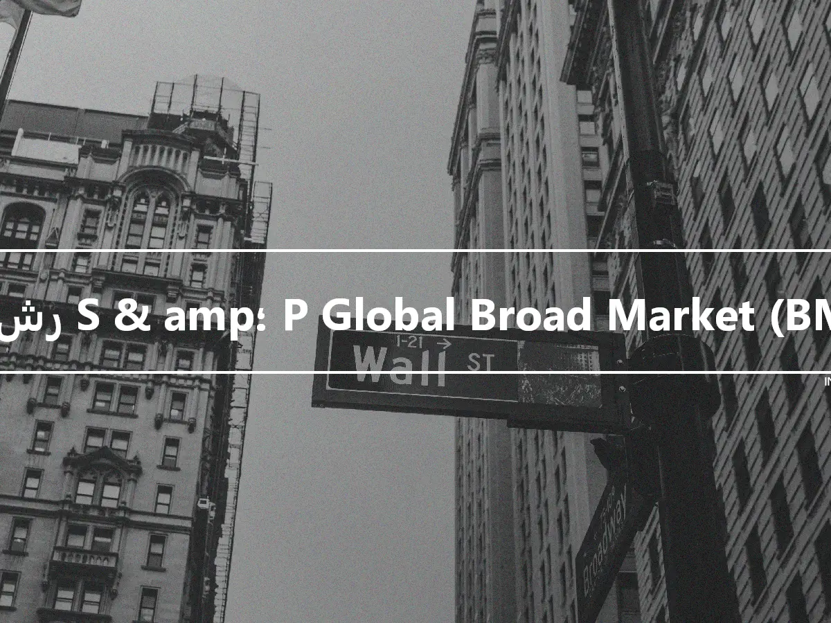 مؤشر S & amp؛ P Global Broad Market (BMI)