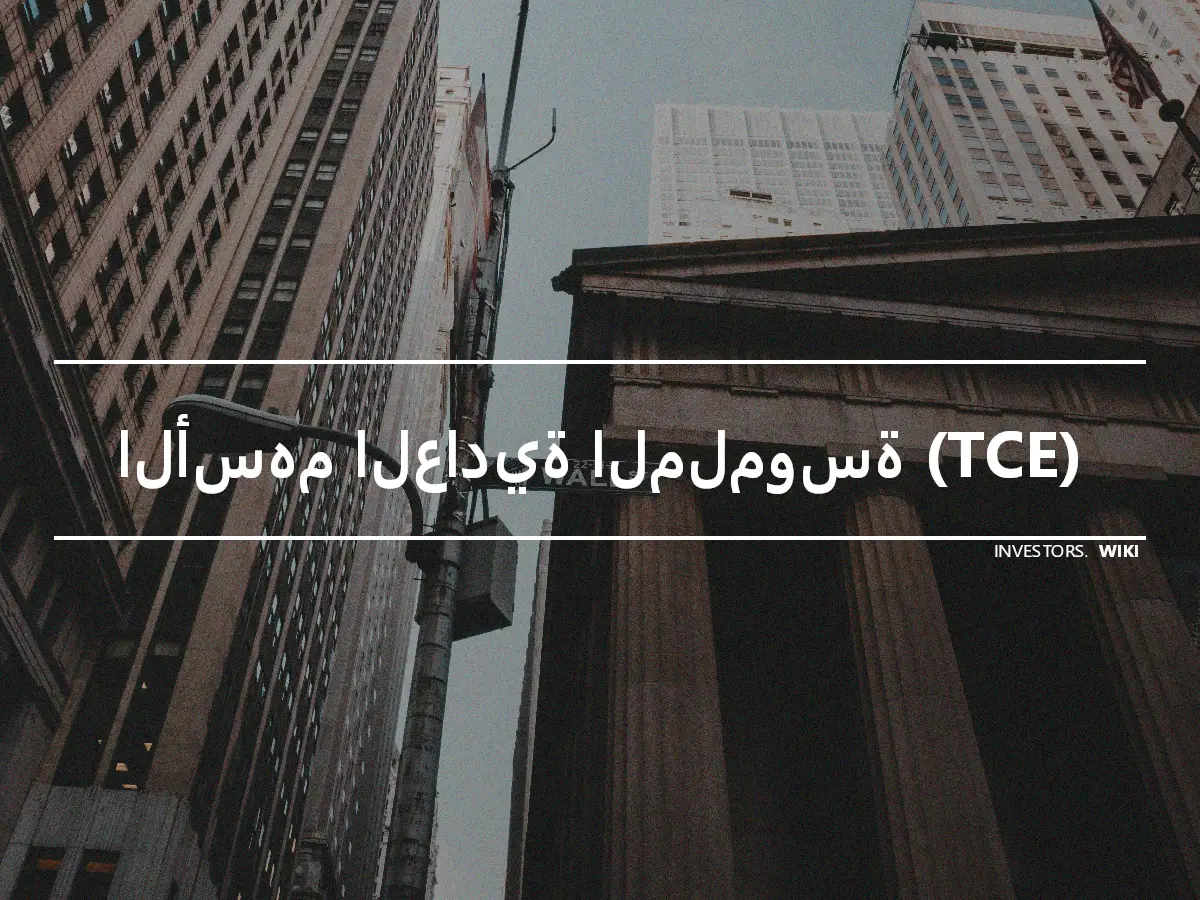 الأسهم العادية الملموسة (TCE)