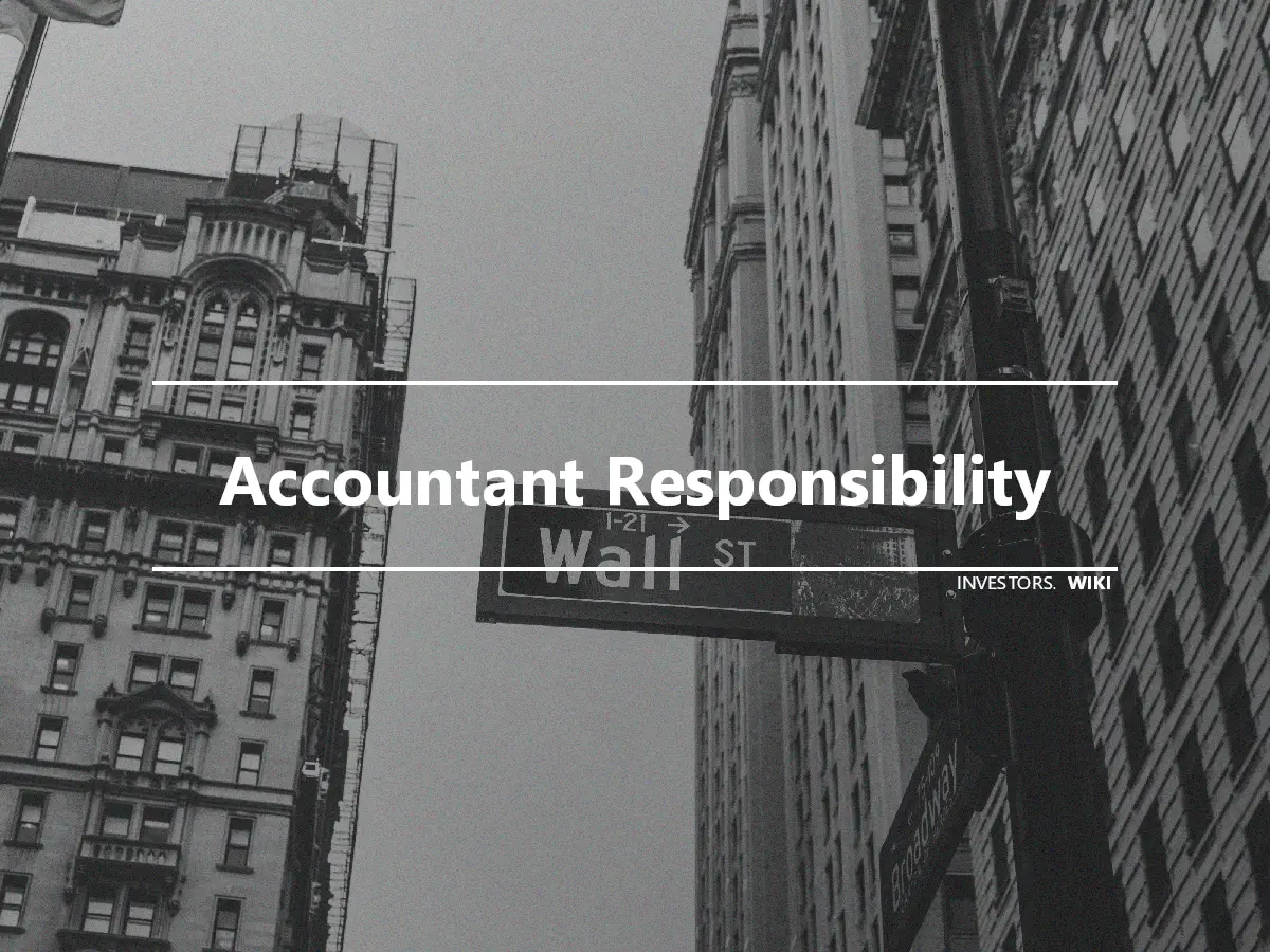 Accountant Responsibility