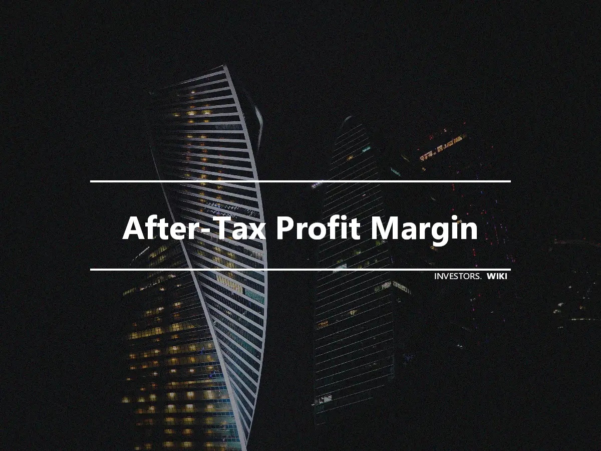 After-Tax Profit Margin