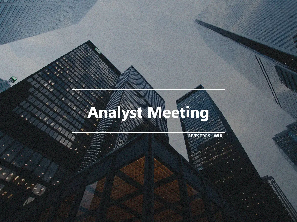 Analyst Meeting