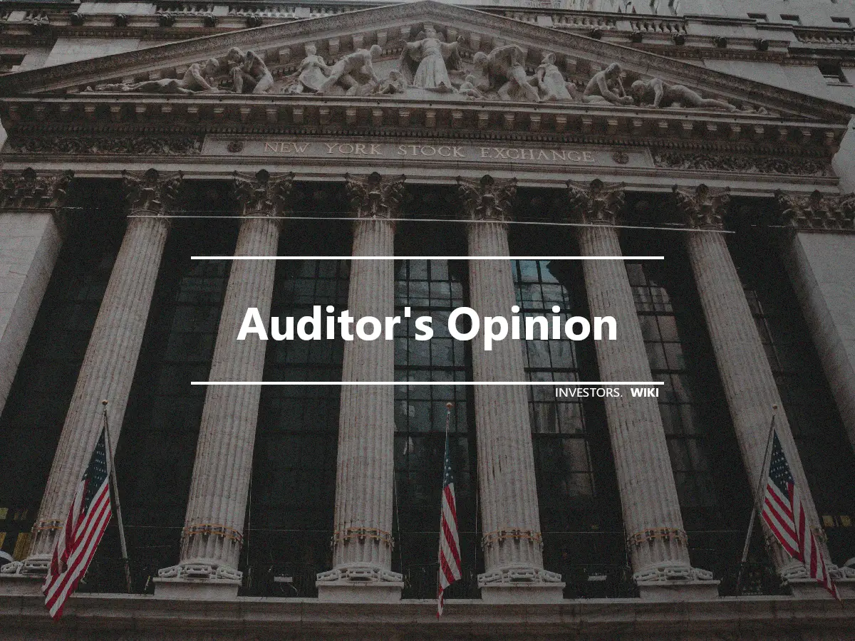 Auditor's Opinion