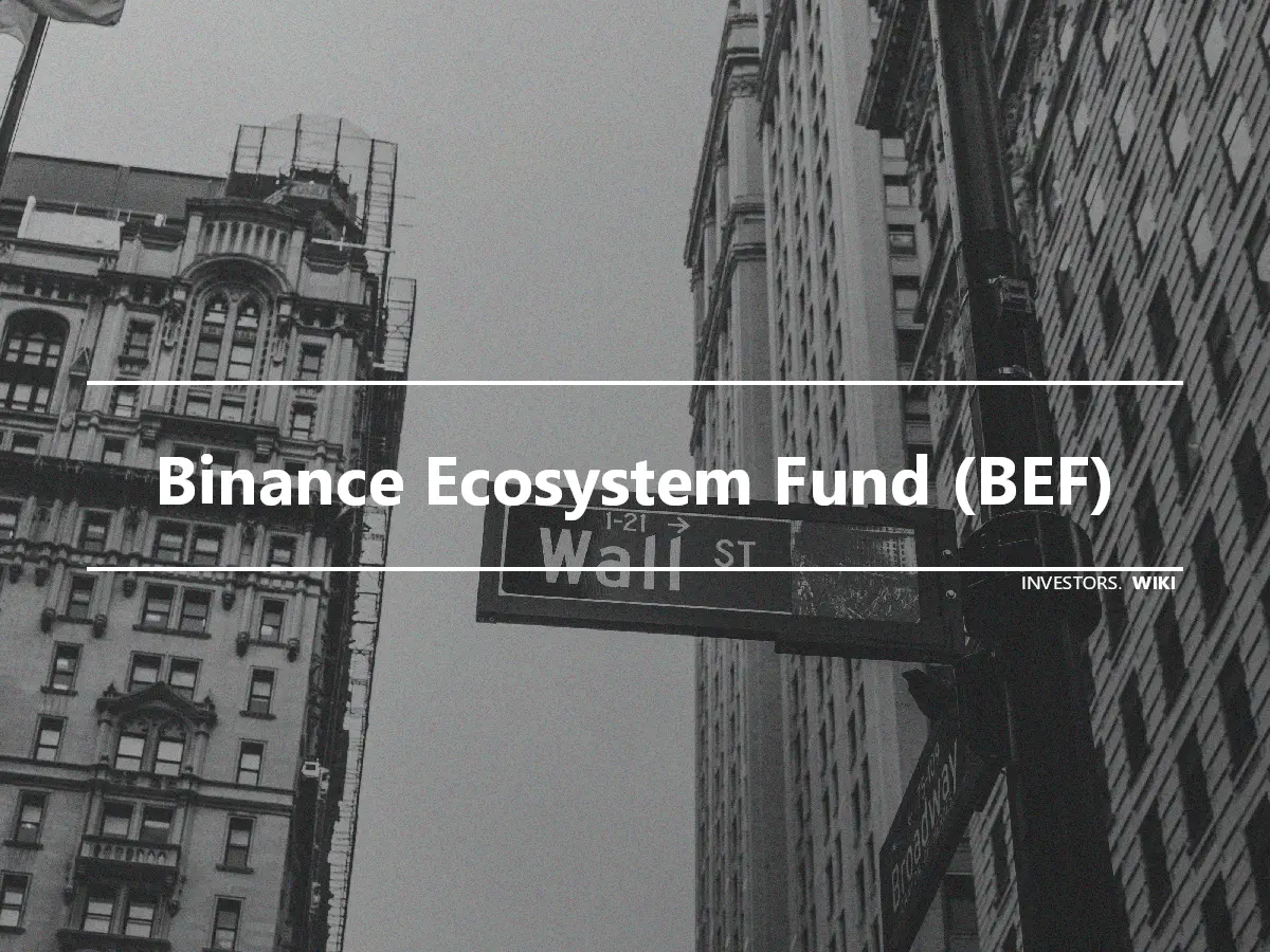 Binance Ecosystem Fund (BEF)