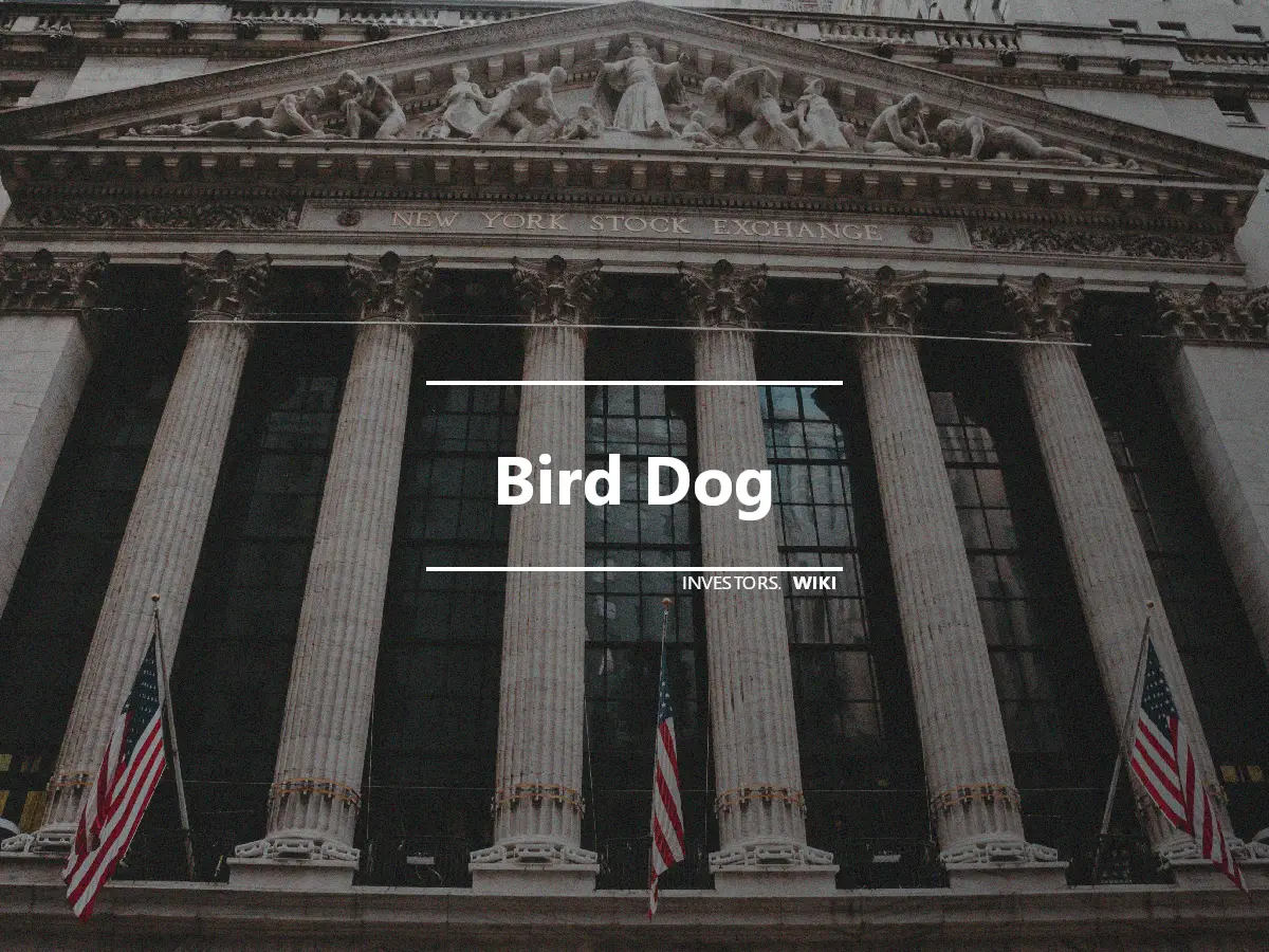 Bird Dog