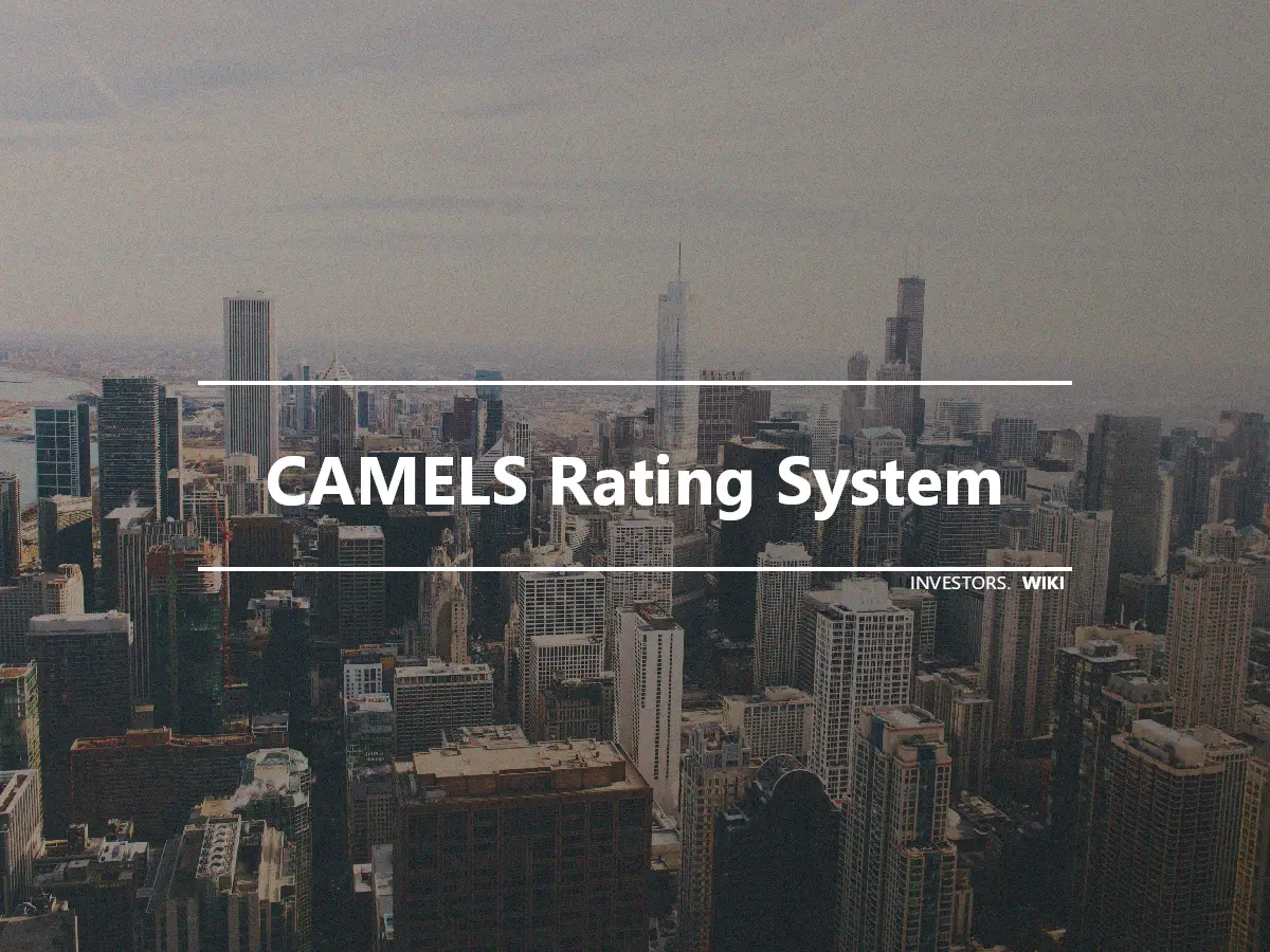 CAMELS Rating System