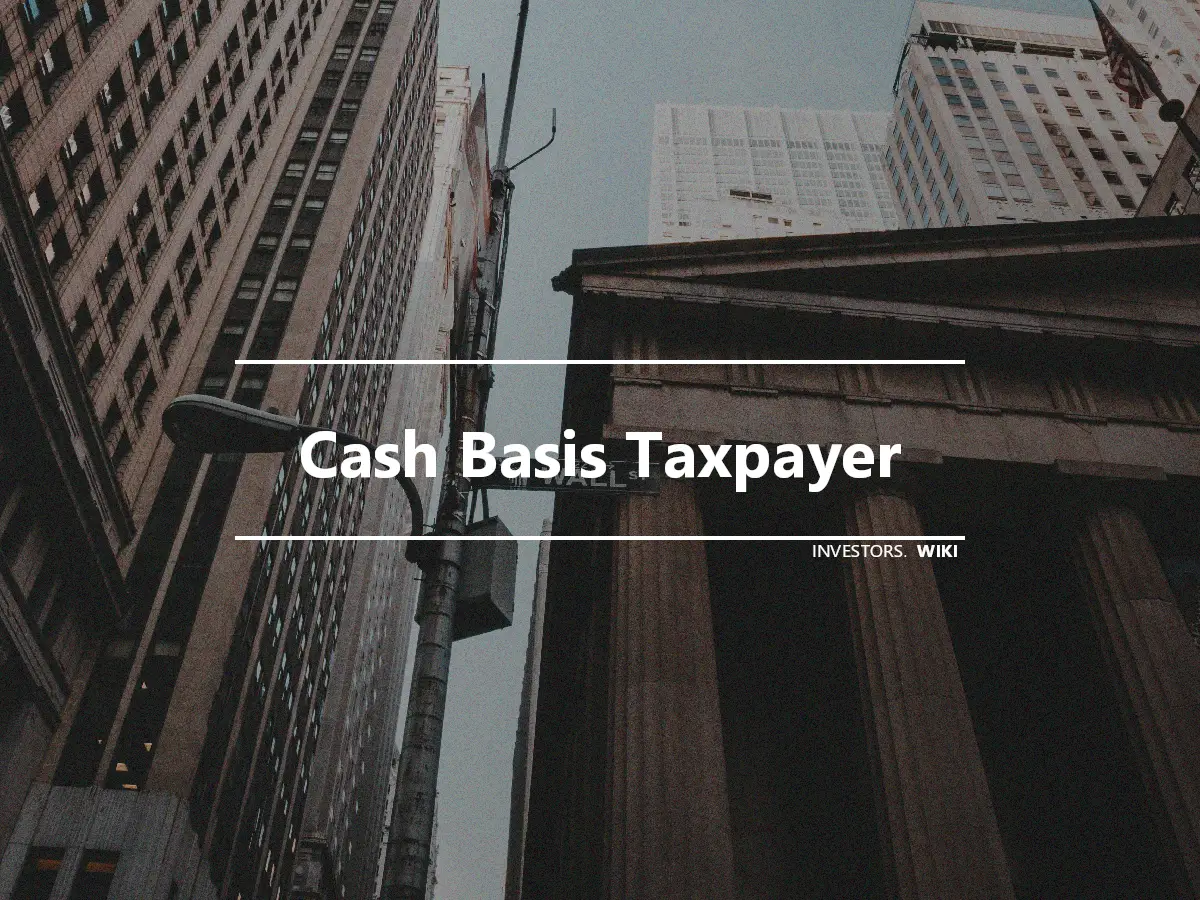 Cash Basis Taxpayer