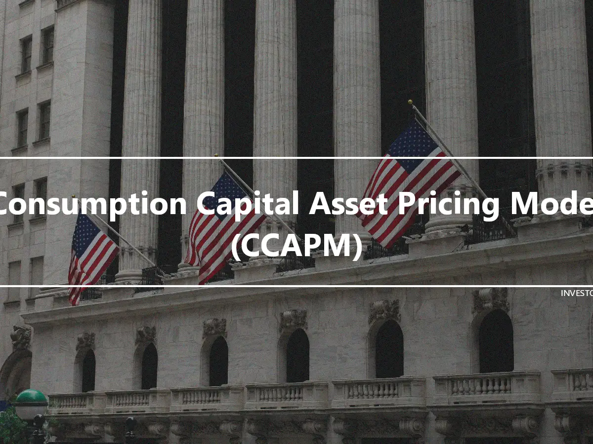 Consumption Capital Asset Pricing Model (CCAPM)