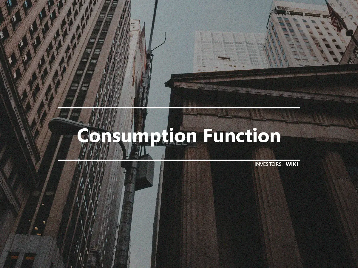 Consumption Function