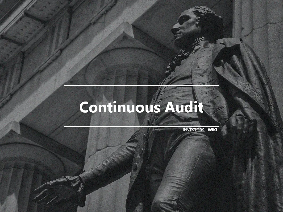 Continuous Audit