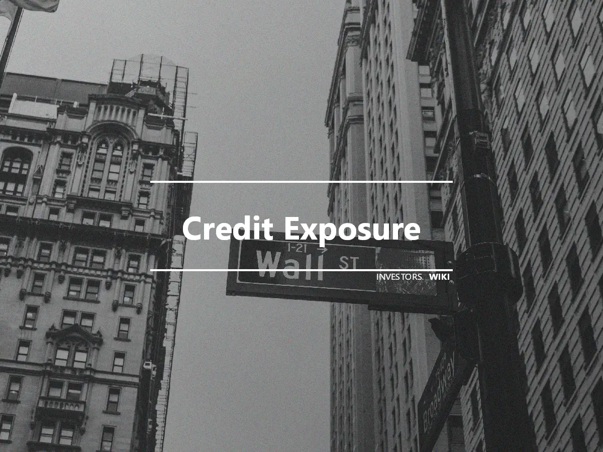 Credit Exposure