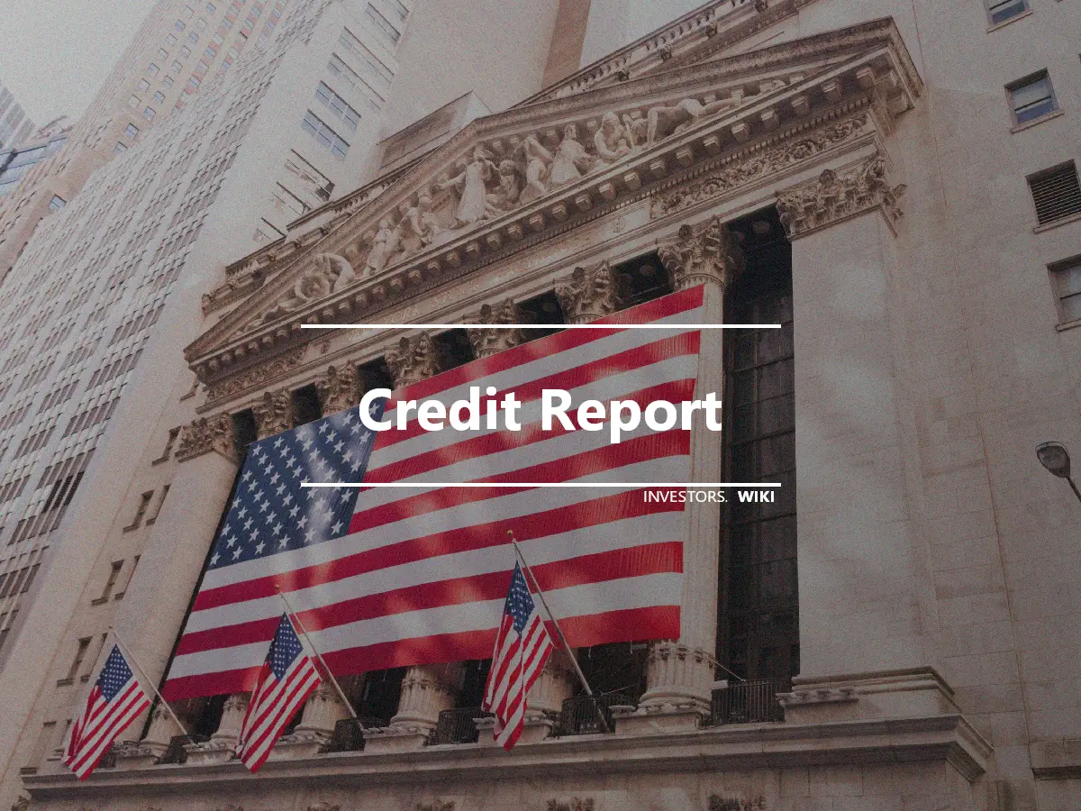 Credit Report