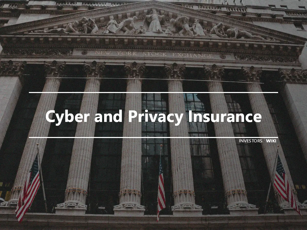 Cyber and Privacy Insurance