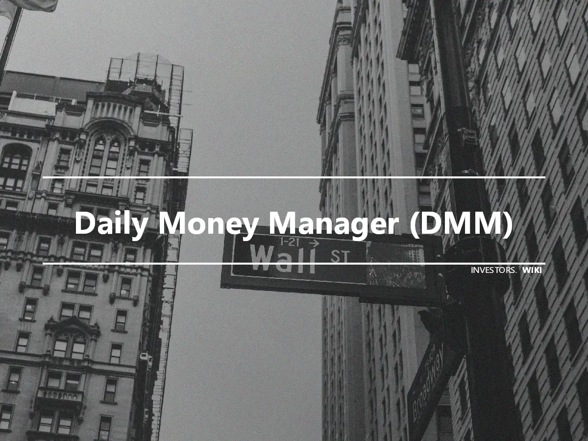 Daily Money Manager (DMM)