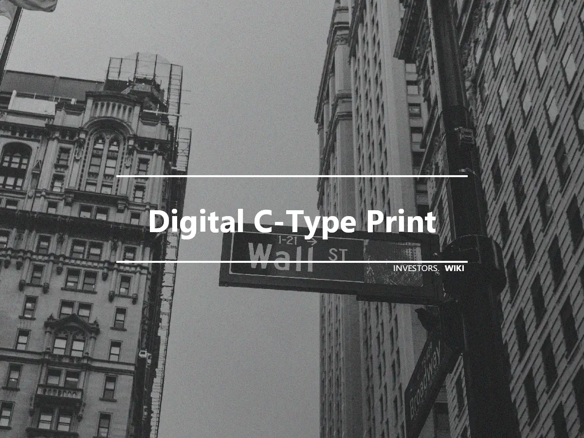 Digital C-Type Print